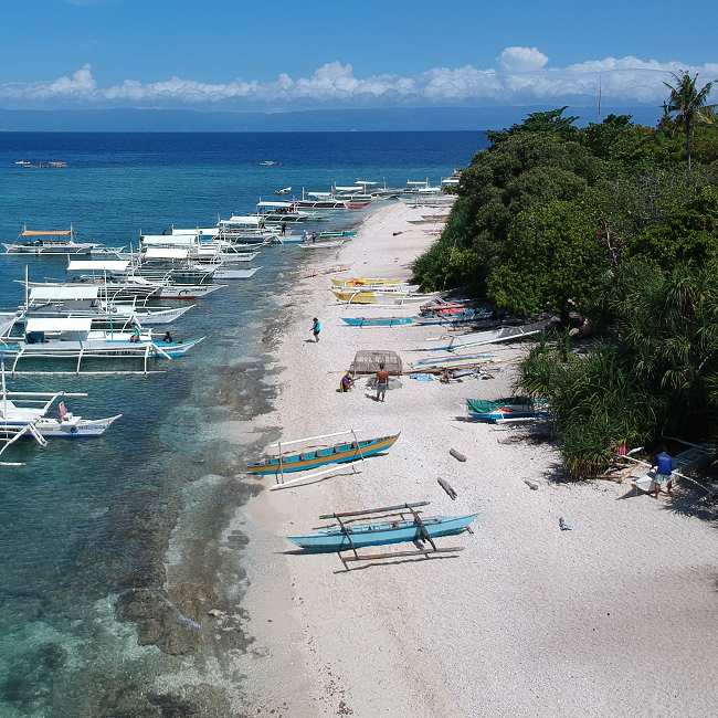 Philippines - île de Balicasag