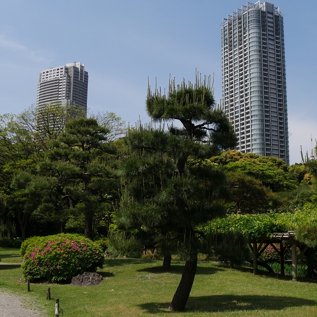 « Hamarikyu Gardens » à Tokyo - Japon